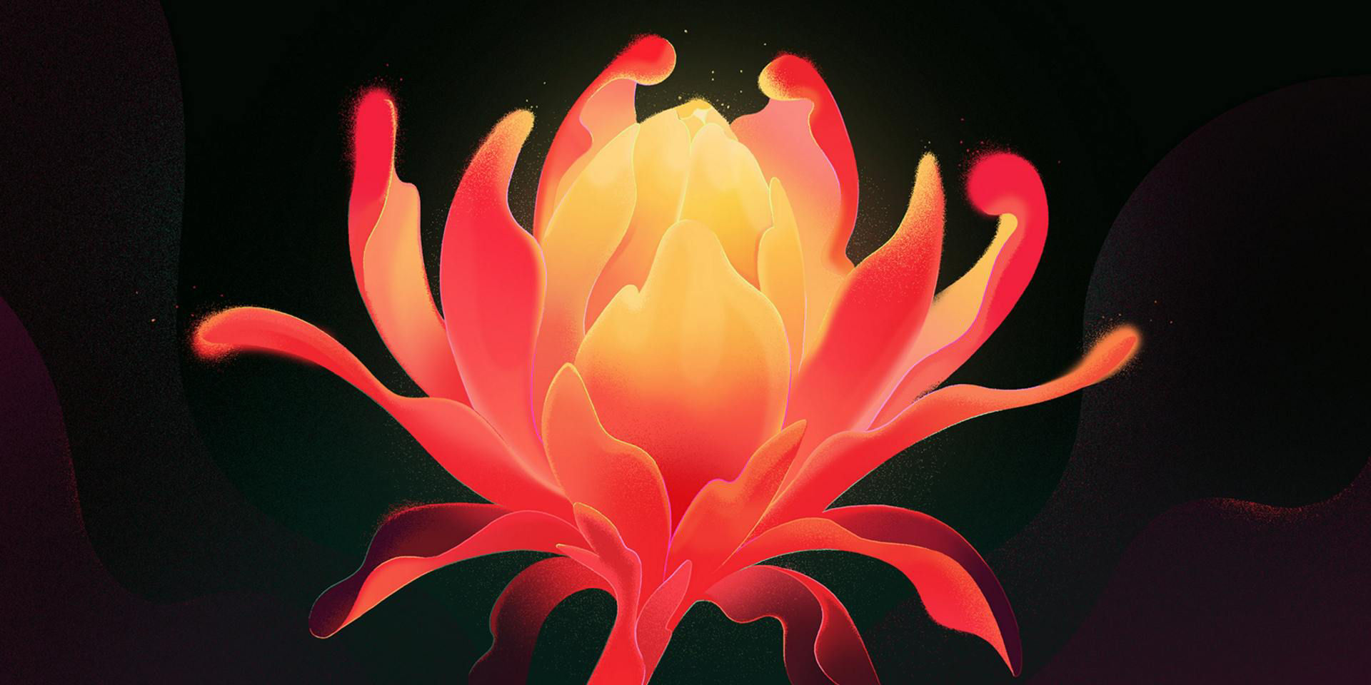 Hero image of a glowing red and yellow flower illustration created by artist Yeojin Shin in Photoshop.