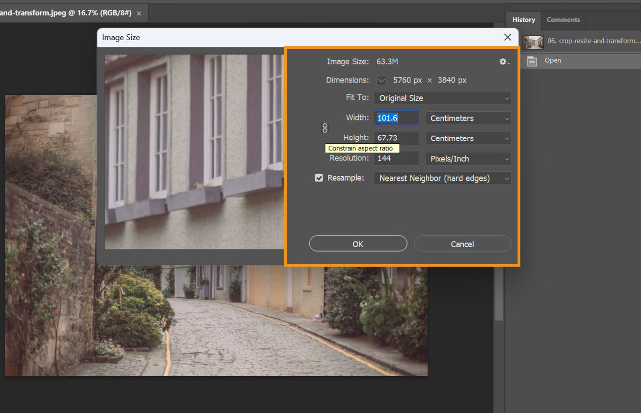Image Size dialog showing width and height in centimeters, 144 PPI resolution, and Nearest Neighbor resampling.