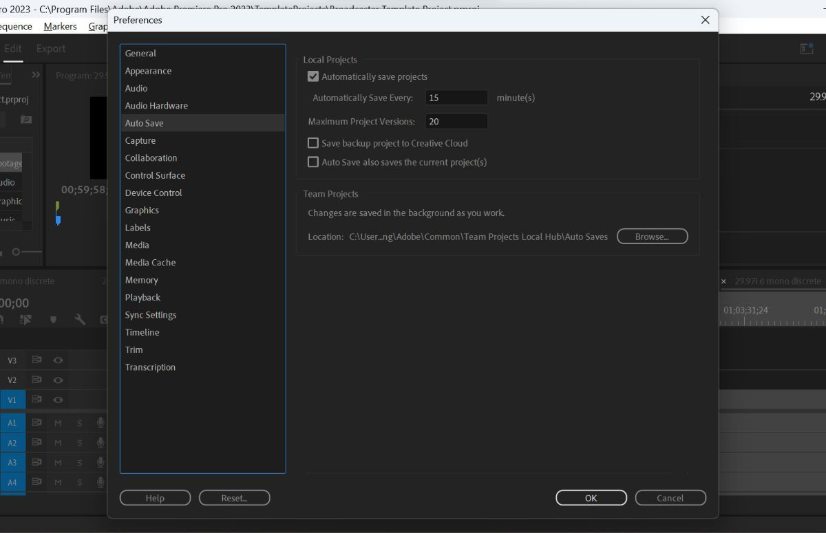 Image showing the Auto Save preferences options within the Preferences panel.