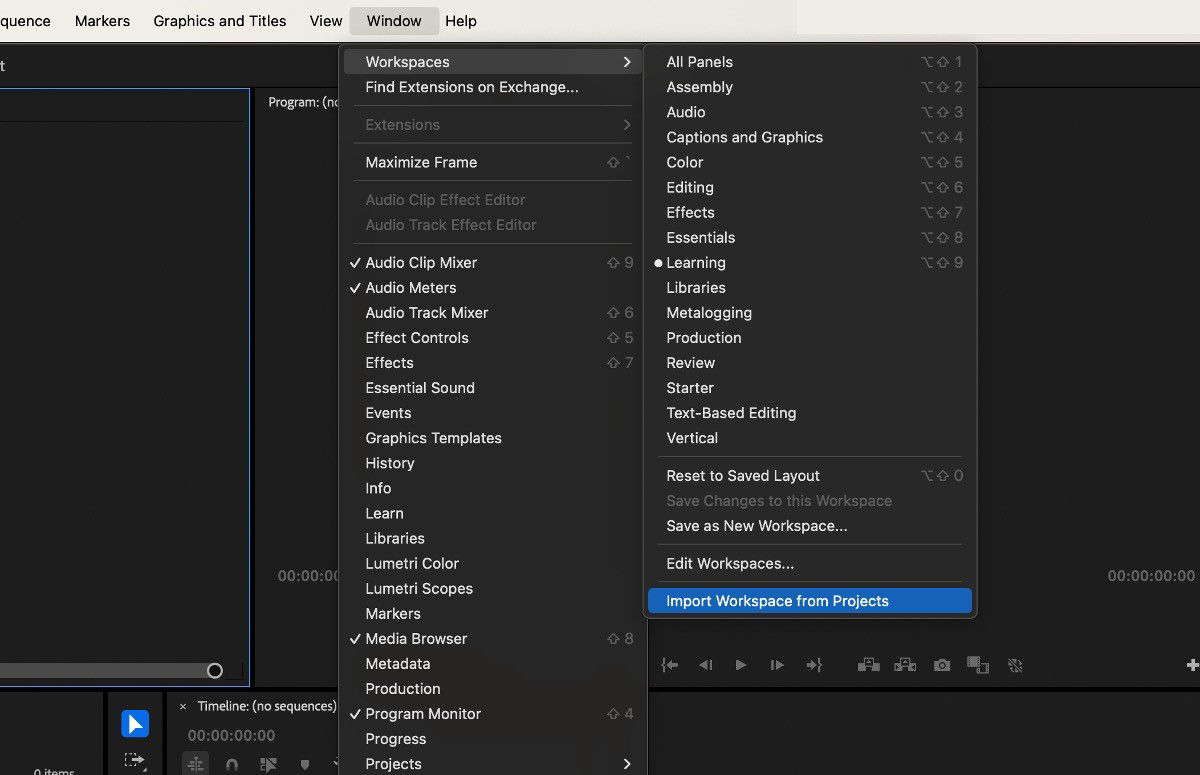 Import Workspace from Projects option selected to import the workspace of a saved project into the current project., Picture
