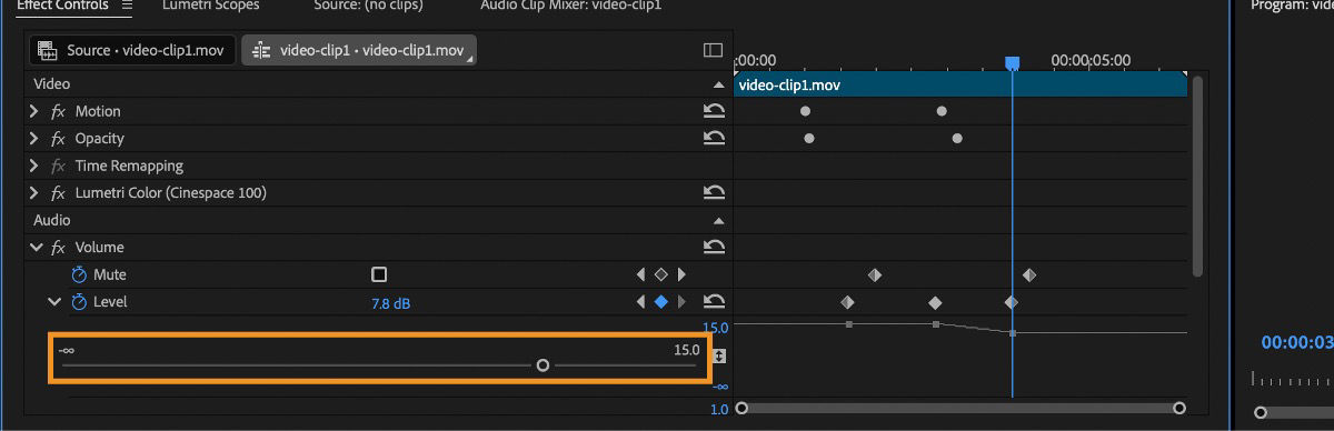 In the Audio section of the Effects Controls panel, the Level property is expanded and there is an option to use a slider to change the value.