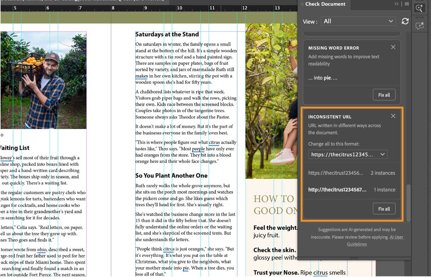 InDesign Check Document panel with an Inconsistent URL card highlighted. The card offers a format dropdown and lists two URL variations with their instance counts.