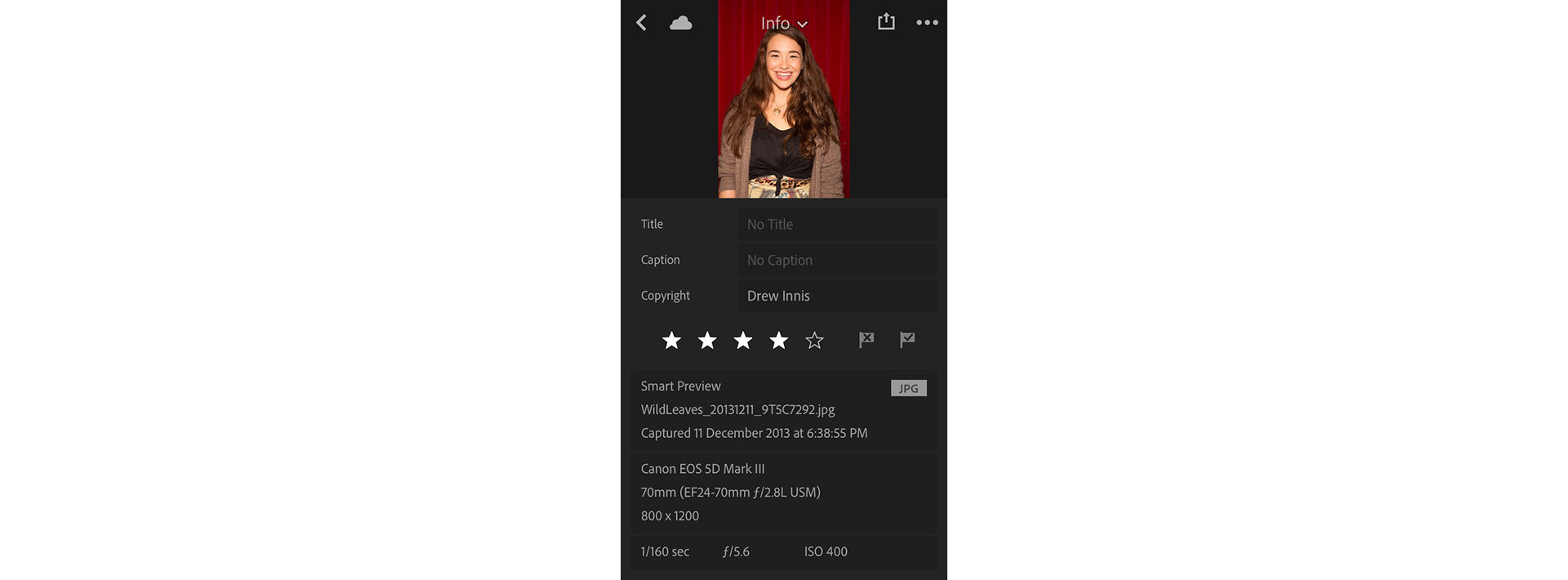Info panel in Lightroom for mobile (iOS)