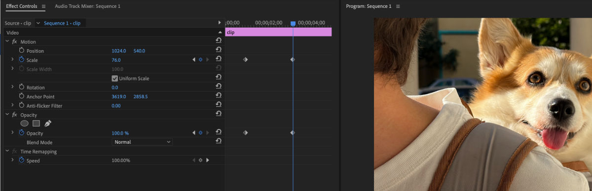 Keyframes are visible in the Effect Controls panel with properties such as Scale and Opacity.