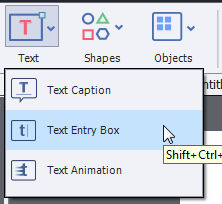 Launch Text Entry boxes