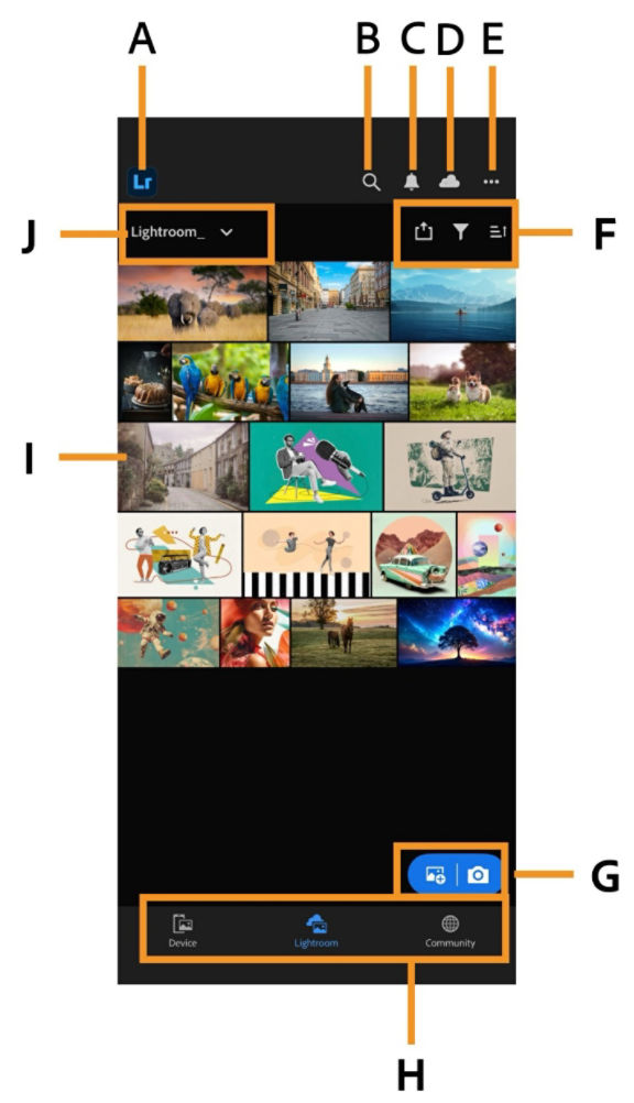 Lightroom app home screen with a photo grid and navigation tabs for Device, Lightroom, and Community.