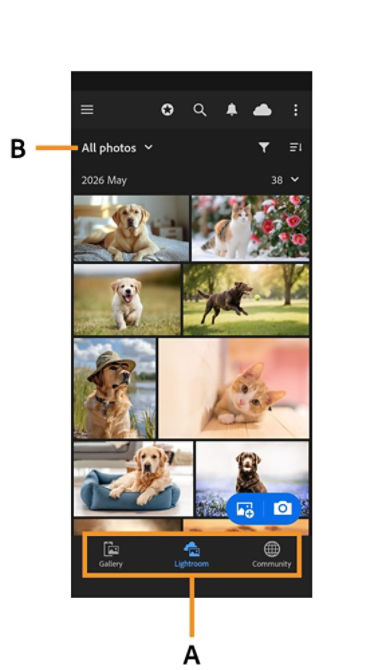 Lightroom on mobile Library screen highlighting the All photos dropdown and navigation tabs for Gallery, Lightroom, and Community.