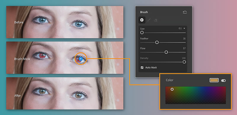 Apply colors to specific areas of your photo with the Brush tool