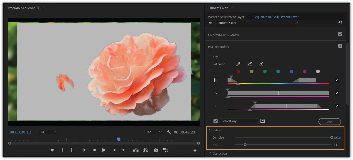 Lumetri Color panel showing Denoise and Blur sliders in the Refine section to smooth the isolated color area.