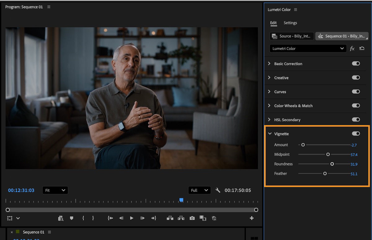 Lumetri Color panel showing Vignette controls, including Amount, Midpoint, Roundness, and Feather.