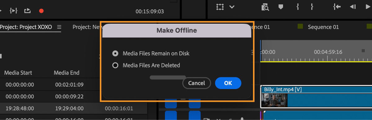 Make Offline dialog with options to keep media files on disk or delete them when clips are made offline.