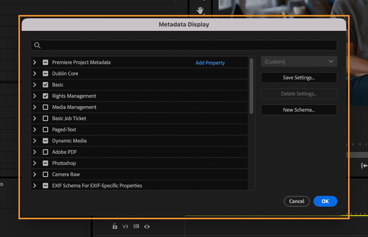 Metadata Display dialog with checkboxes for metadata schemas such as Dublin Core, Basic, and Rights Management.