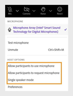 Microphone settings menu with participants access options
