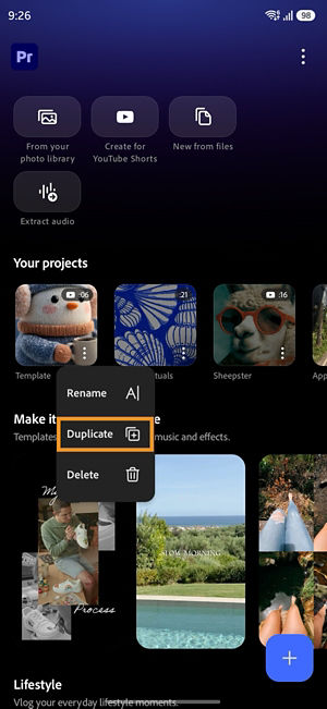 More options menu for a Premiere project showing the Duplicate option.