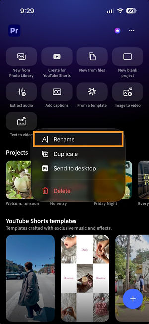 More options menu for a Premiere project showing the Rename option.