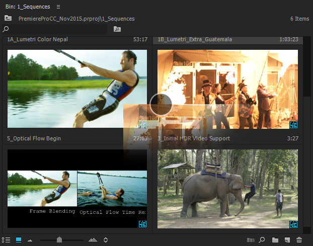 A screen capture from a video clip is displayed as thumbnails in the Project panel of Premiere Pro.
