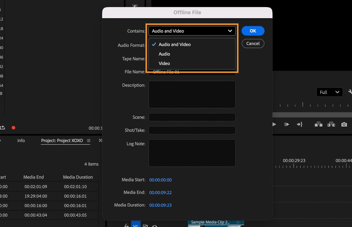 Offline File dialog with the Contains menu expanded to show Audio and Video, Audio, and Video options.