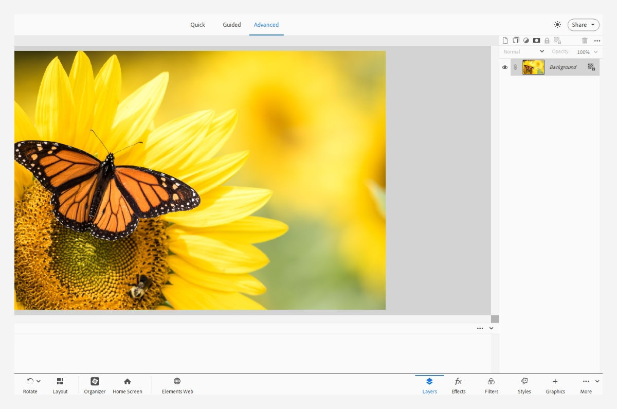 Perform further edits on your creation within Photoshop Elements editor.