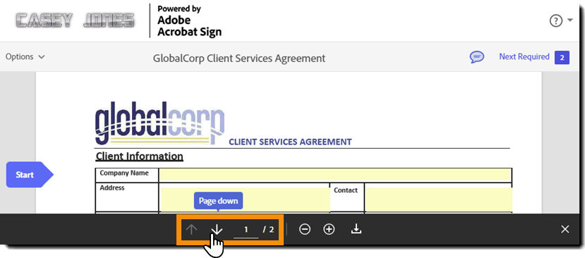 The e-sign page highlighting the page navigation controls at the bottom of the page.