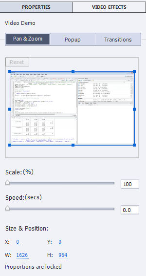 Pan and Zoom options