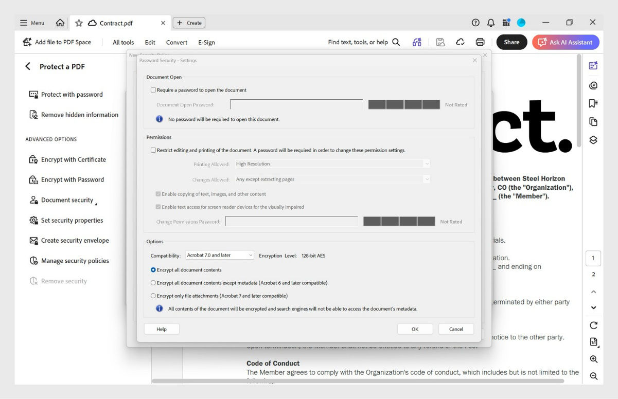 Password Security – Settings dialog box showing password, permission, and compatibility options.