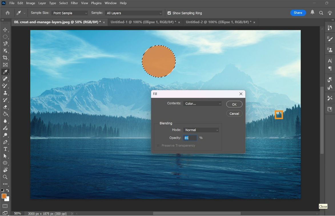 Photoshop interface showing fill options including color selection, blending mode, opacity, and Preserve Transparency. 