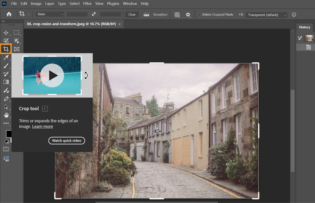 Photoshop workspace with the Crop tool highlighted in the Tools bar and crop handles visible around the open image.