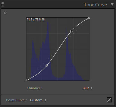 Editing the Point Curve in the Tone Curve panel