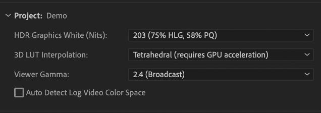 L’interface utilisateur Paramètres de l’espace colorimétrique de travail affiche les Paramètres du projet avec l’option Détecter automatiquement l’espace colorimétrique de la vidéo logarithmique.