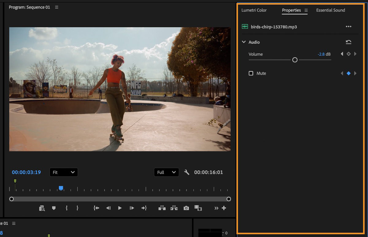 Properties panel showing audio controls for a selected audio clip, including Volume and Mute options.