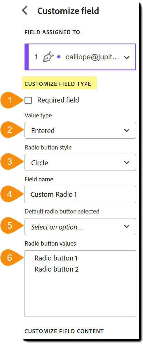 View of the field customization menu with the Customizable Field Type section highlighted.