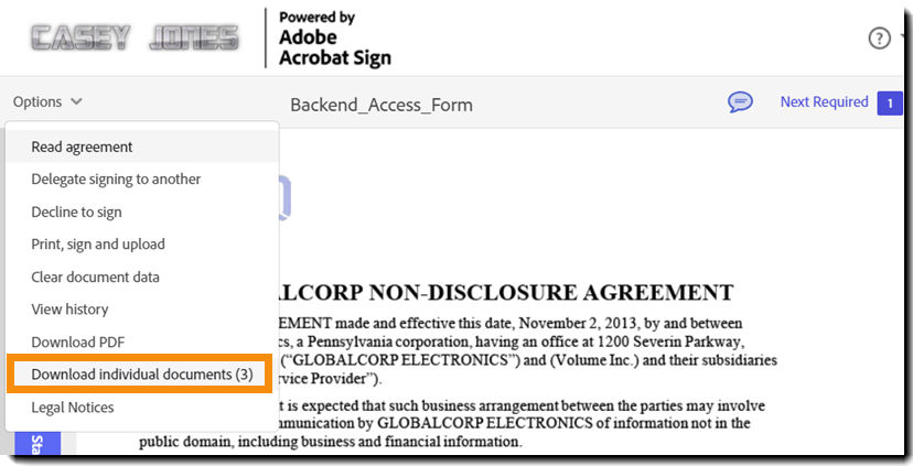 The e-sign page with the options menu expanded and the "Download individual documents" option highlighted.