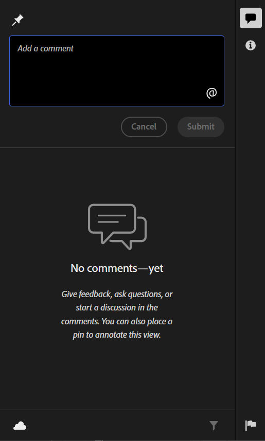 Comments panel