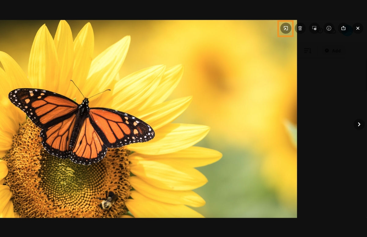 Explore the Open in desktop app icon from the SIV view of your photo.