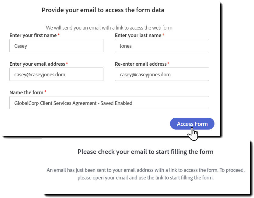 The challenge panel presented when a web form signer first access the web form.