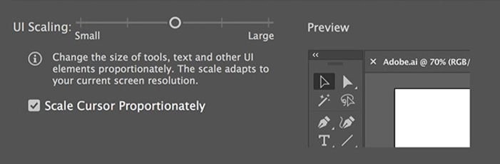 scale the user interface