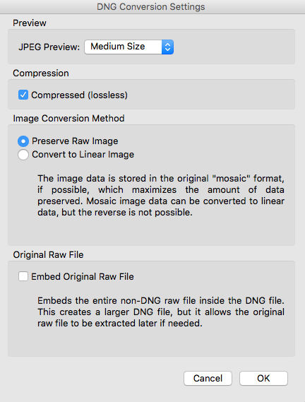 DNG Conversion Settings dialog in Adobe Bridge