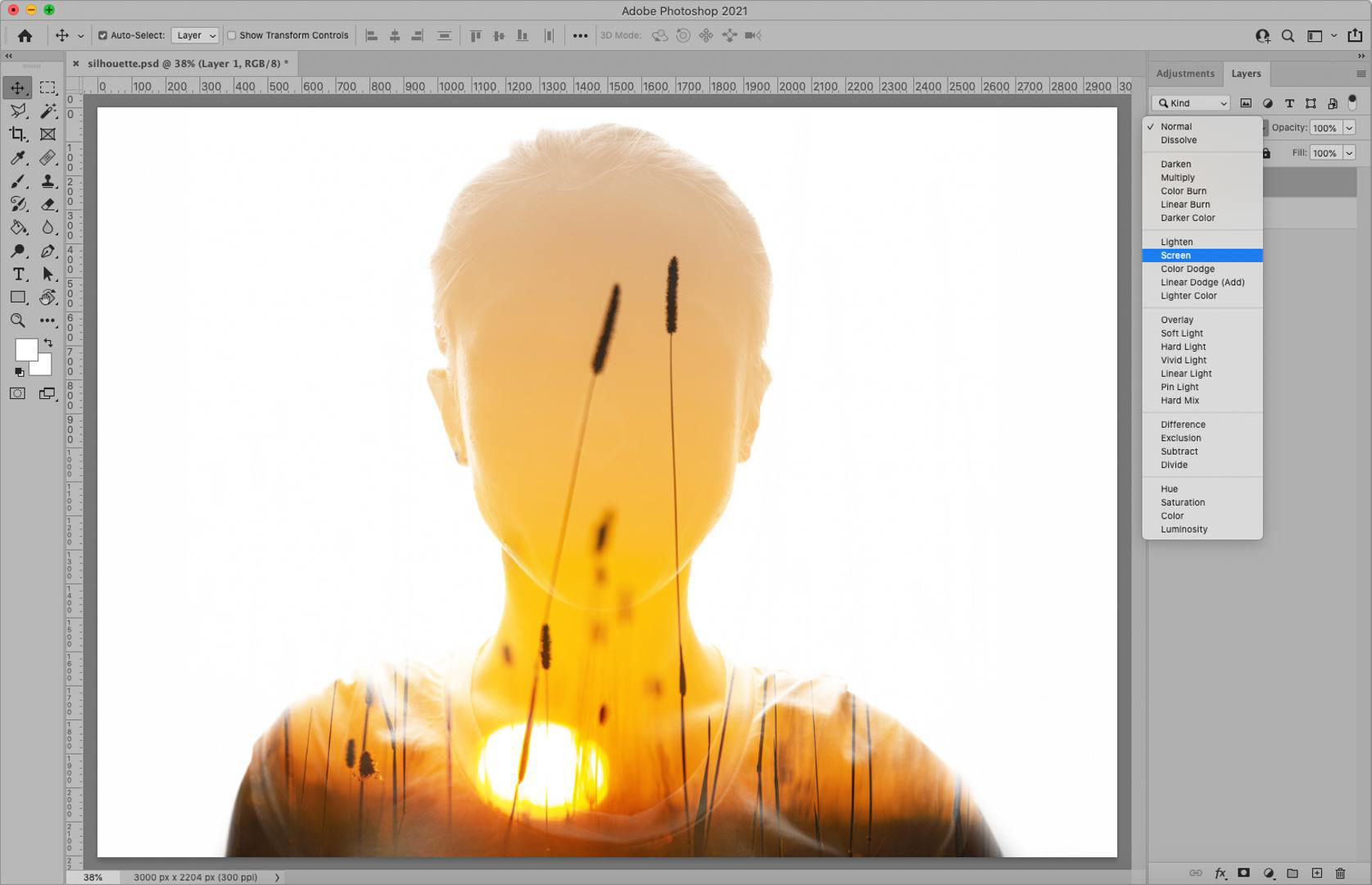 Screen capture of Guassian Blur applied to the cherry illustration in Photoshop.
