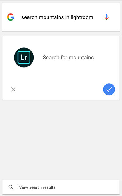 Search Lightroom photos using Google Assistant
