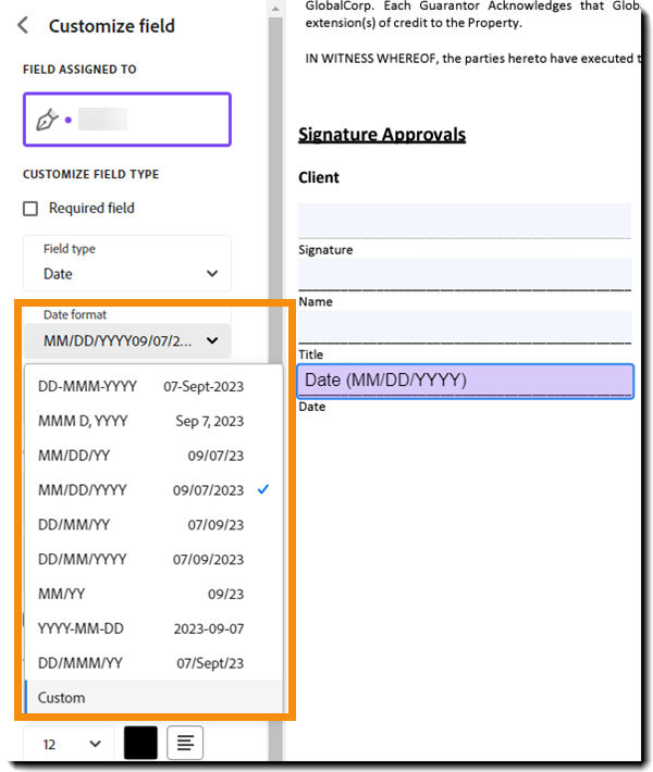 Text field with the Dave options exposed