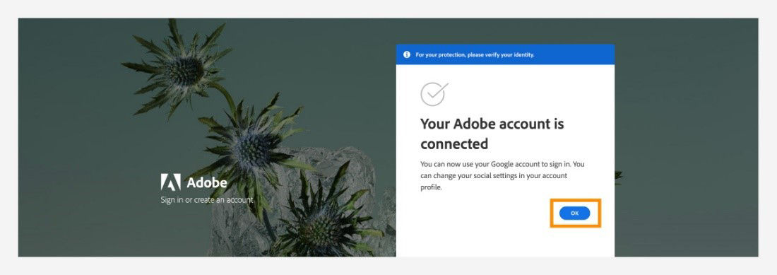 Your Google account is connected to your Adobe account.