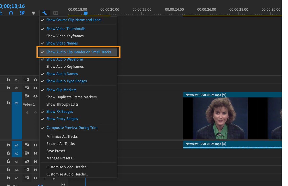 The Timeline Display Settings menu is displayed and has various options, such as clip names, thumbnails, keyframes, and markers. Select or unselect the menu options you want to view on your timeline.