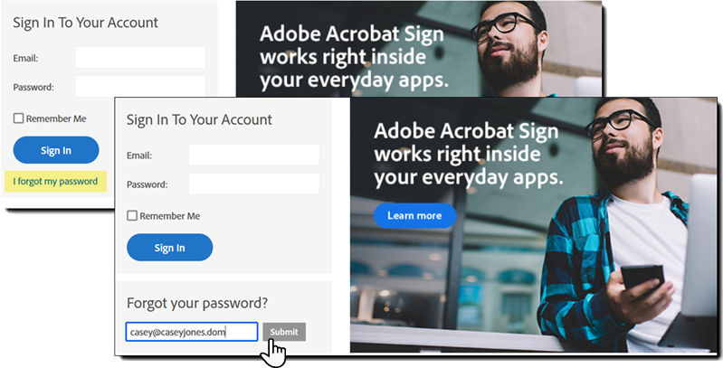 The login page with the reset password link highlighted