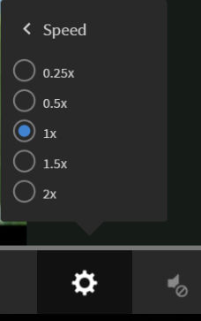 Modify the playback speed in Fluidic Player