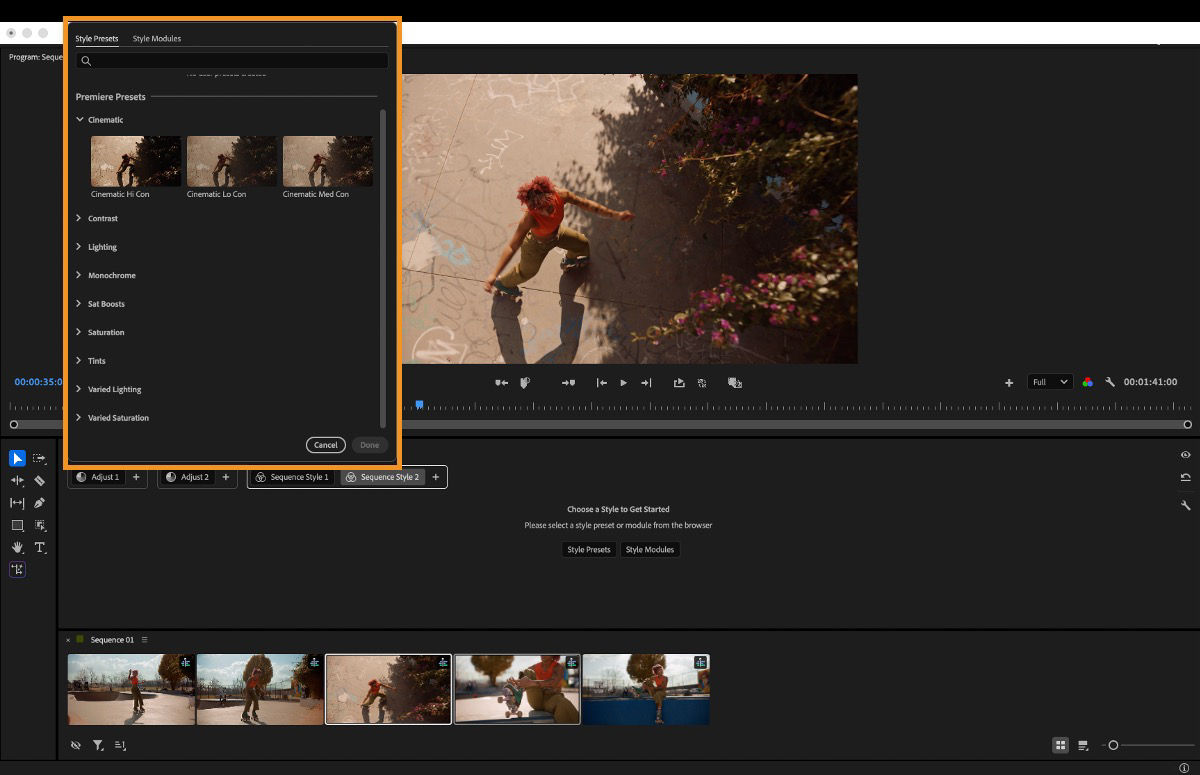 Style Browser showing presets and categories for selecting and applying styles in the Color Tools panel.
