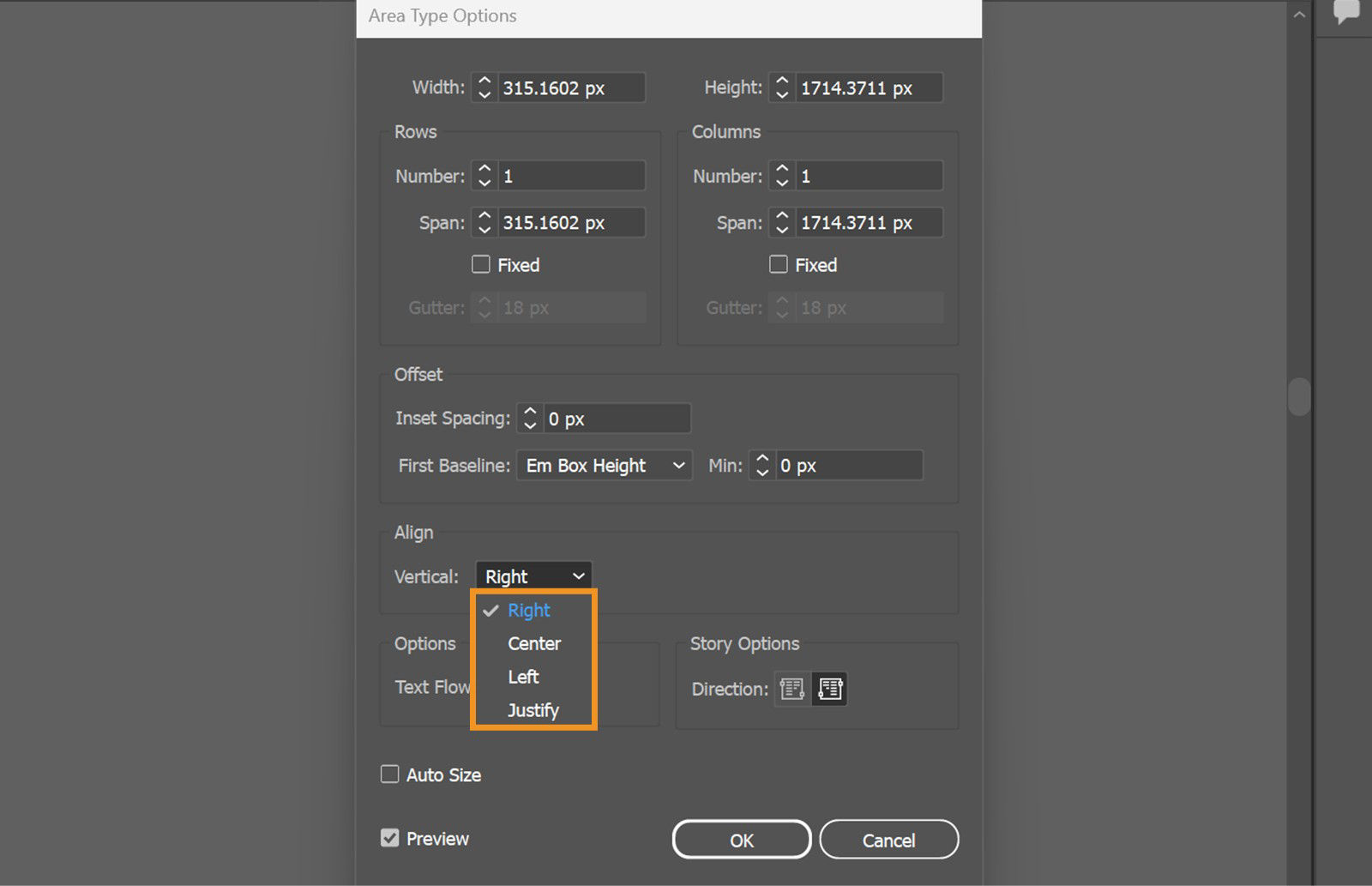 The Area Type Options dialog box is displayed on the screen showcasing various settings such as Width, Height, Offset, and more.