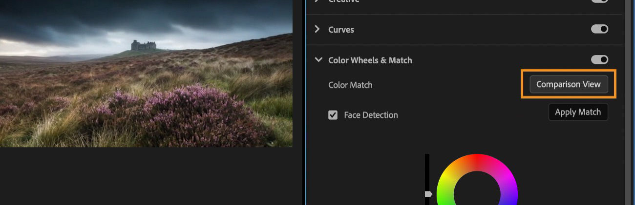 The Comparison View option is selected in the Lumetri Color panel to compare shots and match their color.