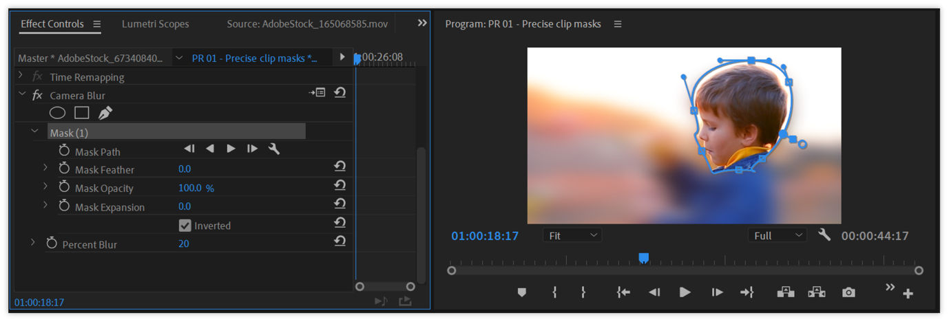 The Effect Controls panel displays the editable properties of a mask when it is selected in the Program Monitor.