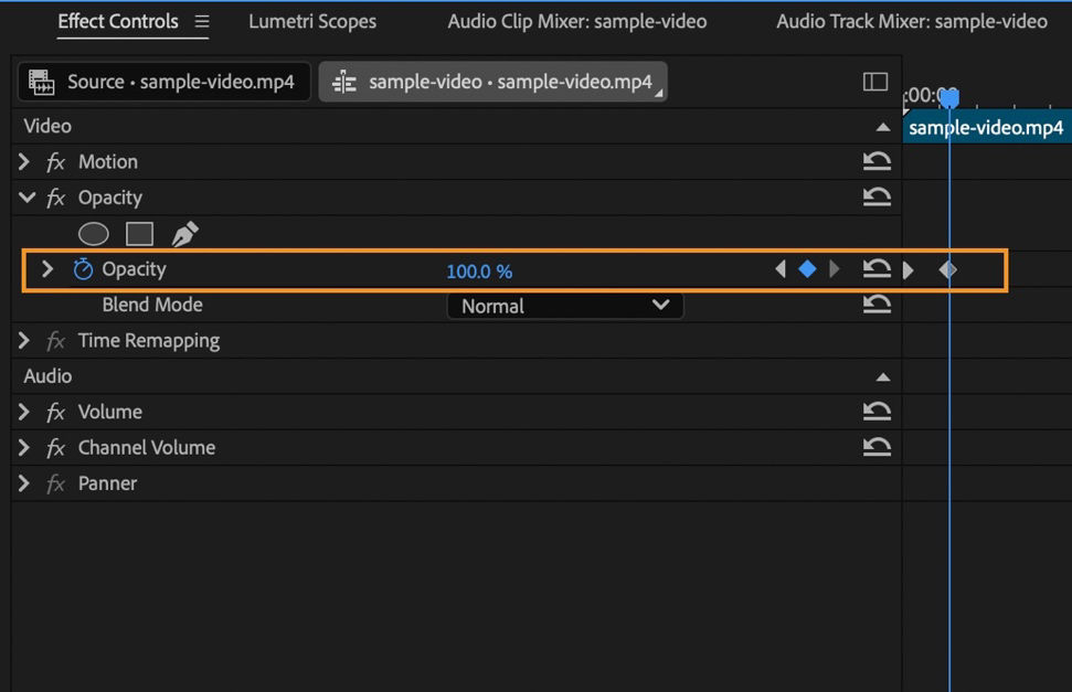 The Effect Controls panel has the Opacity property selected and control set to 100% for a sample video clip.