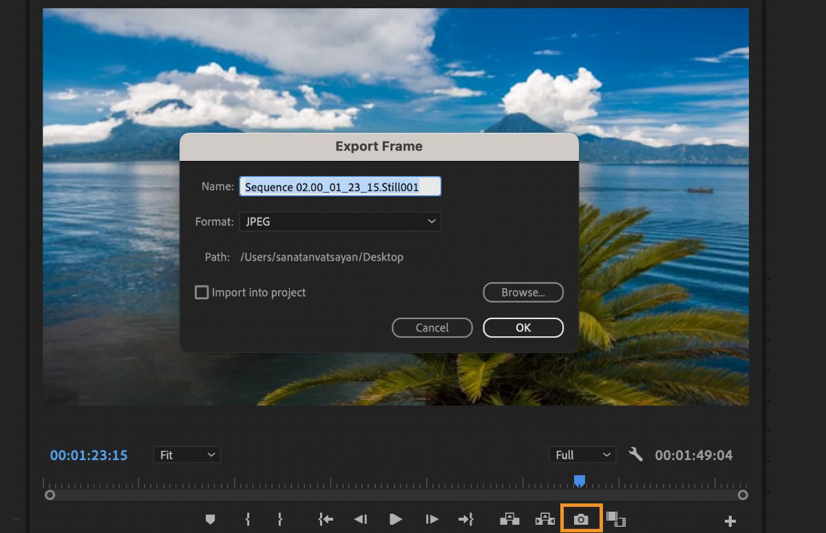 The Export Frame dialog box that shows the option to name the frame and select the format.